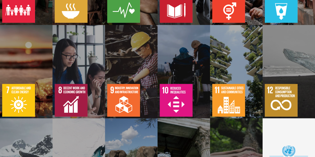 Understanding SDG Impact Finance Initiatives: Catalyzing Positive Change through Project Funding.